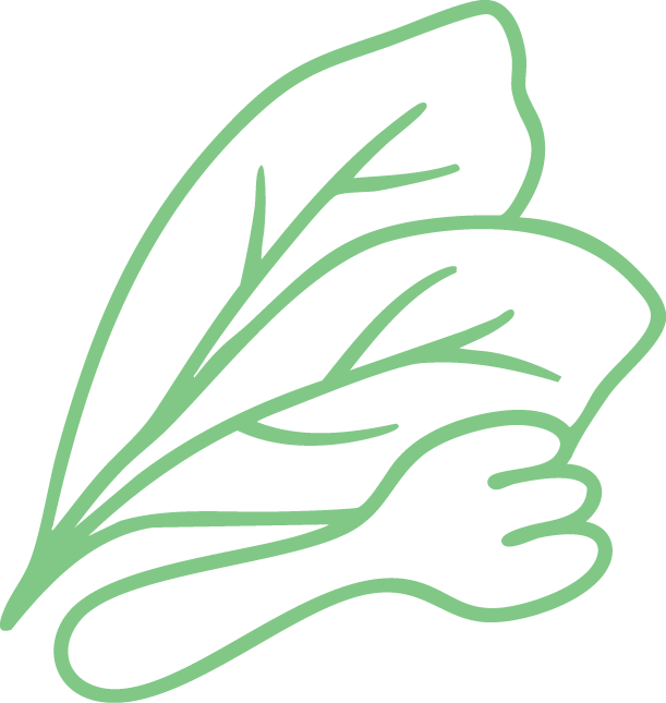 SunAngel Club Logo